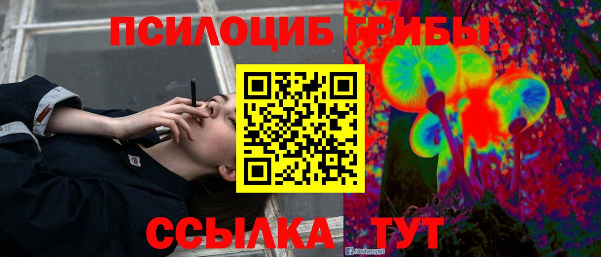Псилоцибиновые грибы Psilocybine cubensis  Псилоцибиновые грибы Magic Shrooms  Вход с VPN  Знаменск 